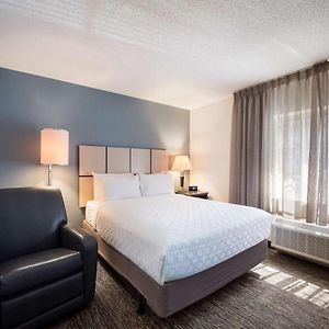 One-Bedroom Queen Suite